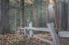 Washington State-Seabeck Split-rail fence and forest Art Print